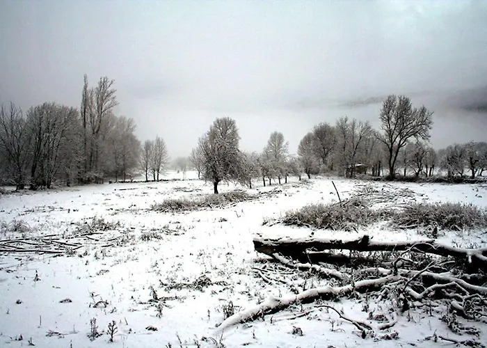 Tuara Lägenhet El Run